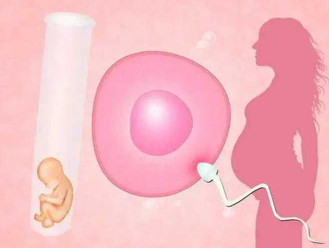 天津代孕生男孩上门洽谈,多发性子宫肌瘤做泰国试管婴儿，费用是不是很高?